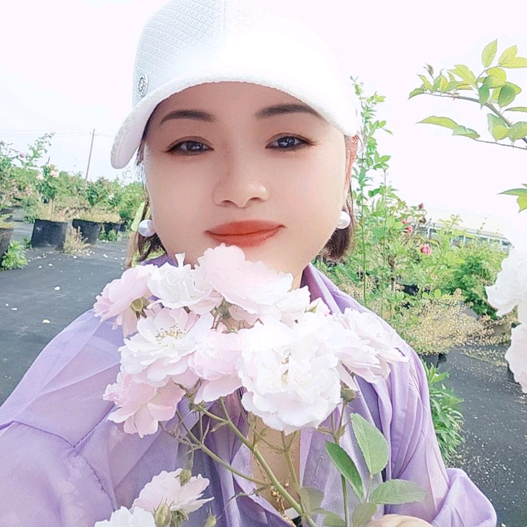 凤飞的我