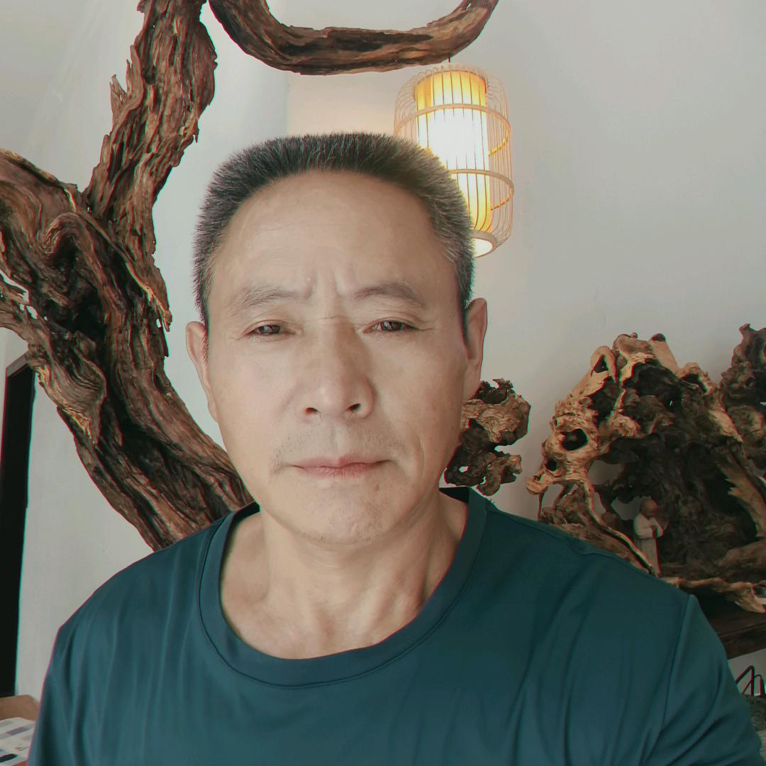 陈木山林根艺