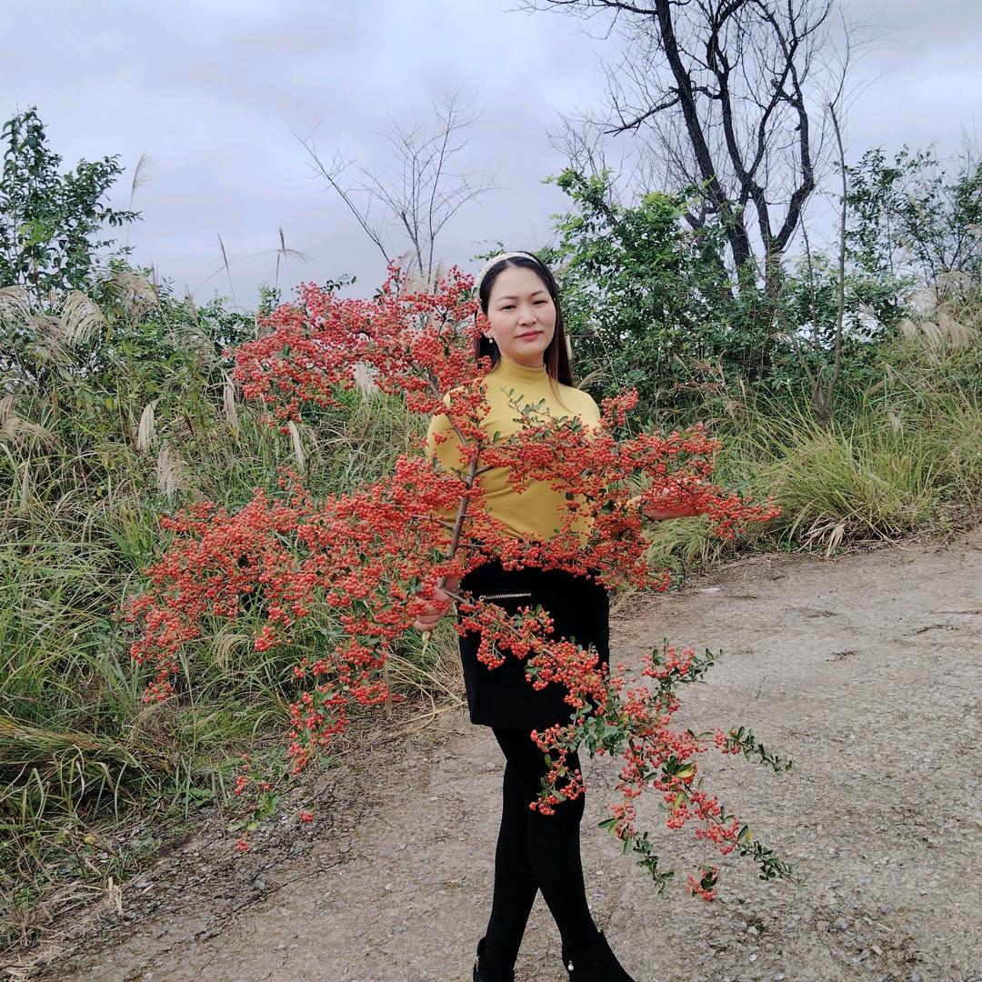黛汐燕子姐