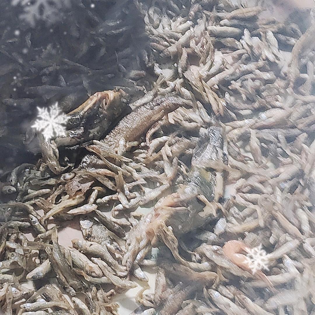 从新开始