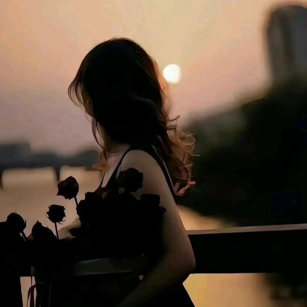 琴棋书画啥也不会