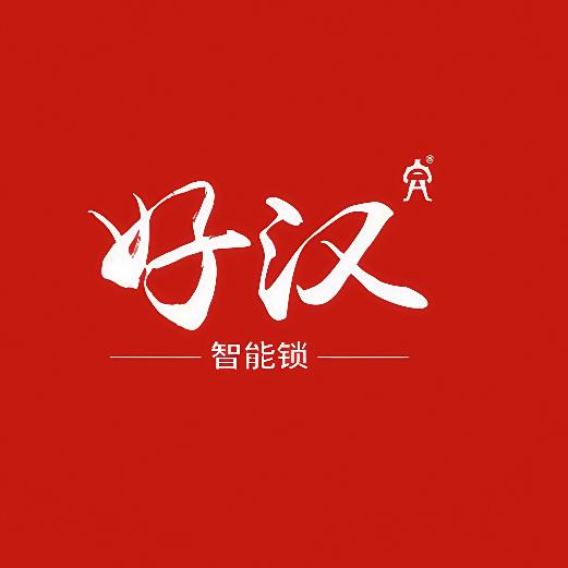 好汉智能锁厂家店