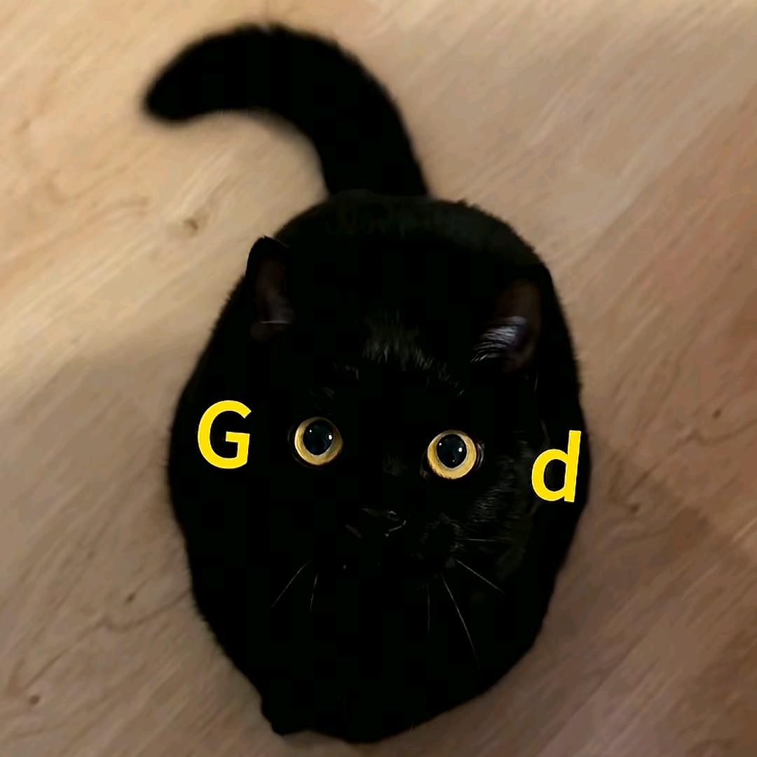 古德曼