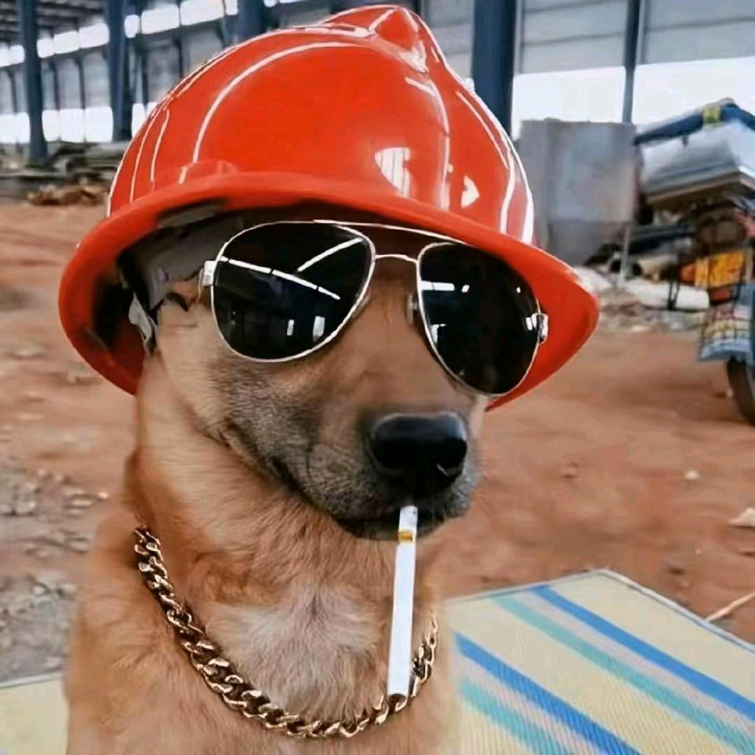 AAA周百万（百万建工）