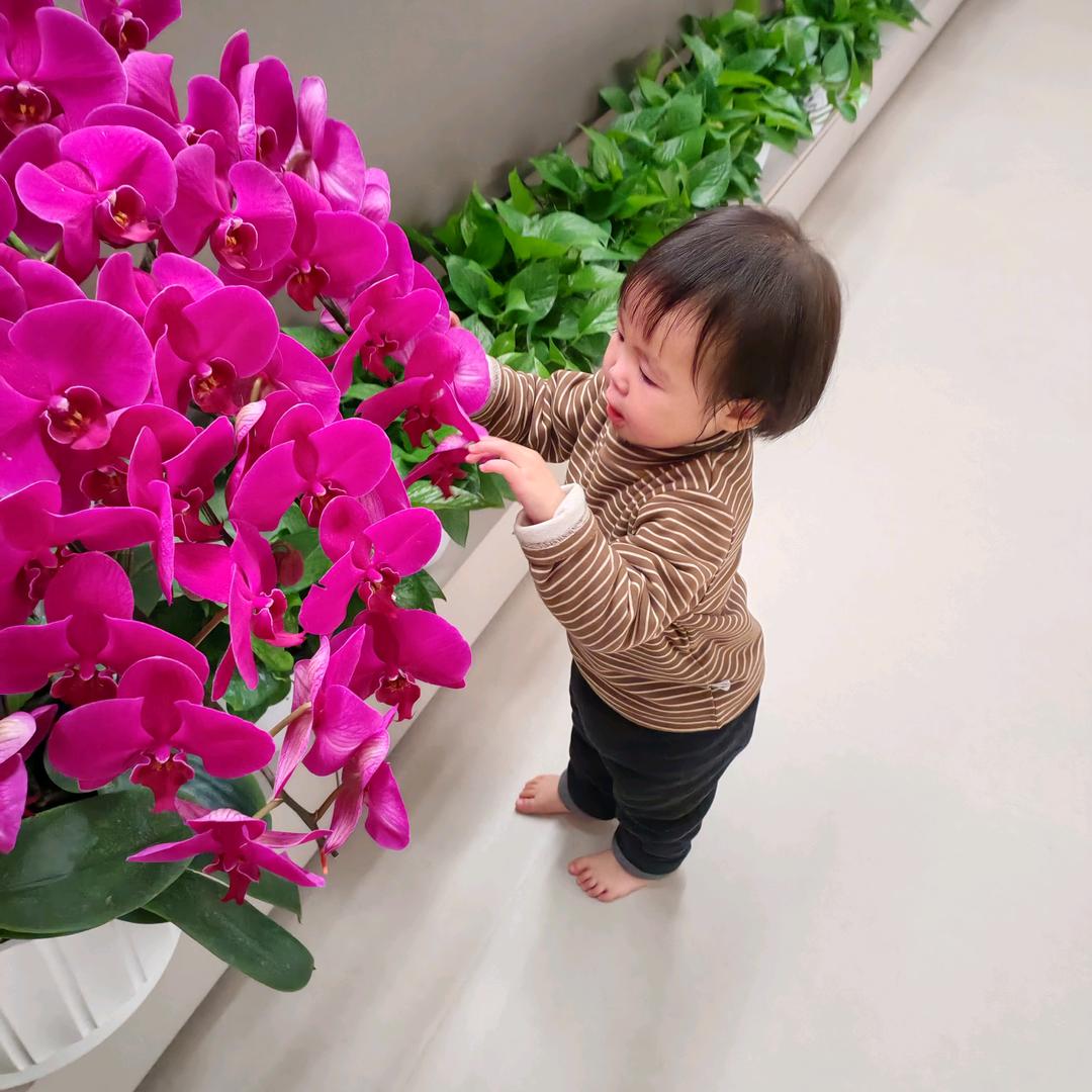 梓帅奶奶