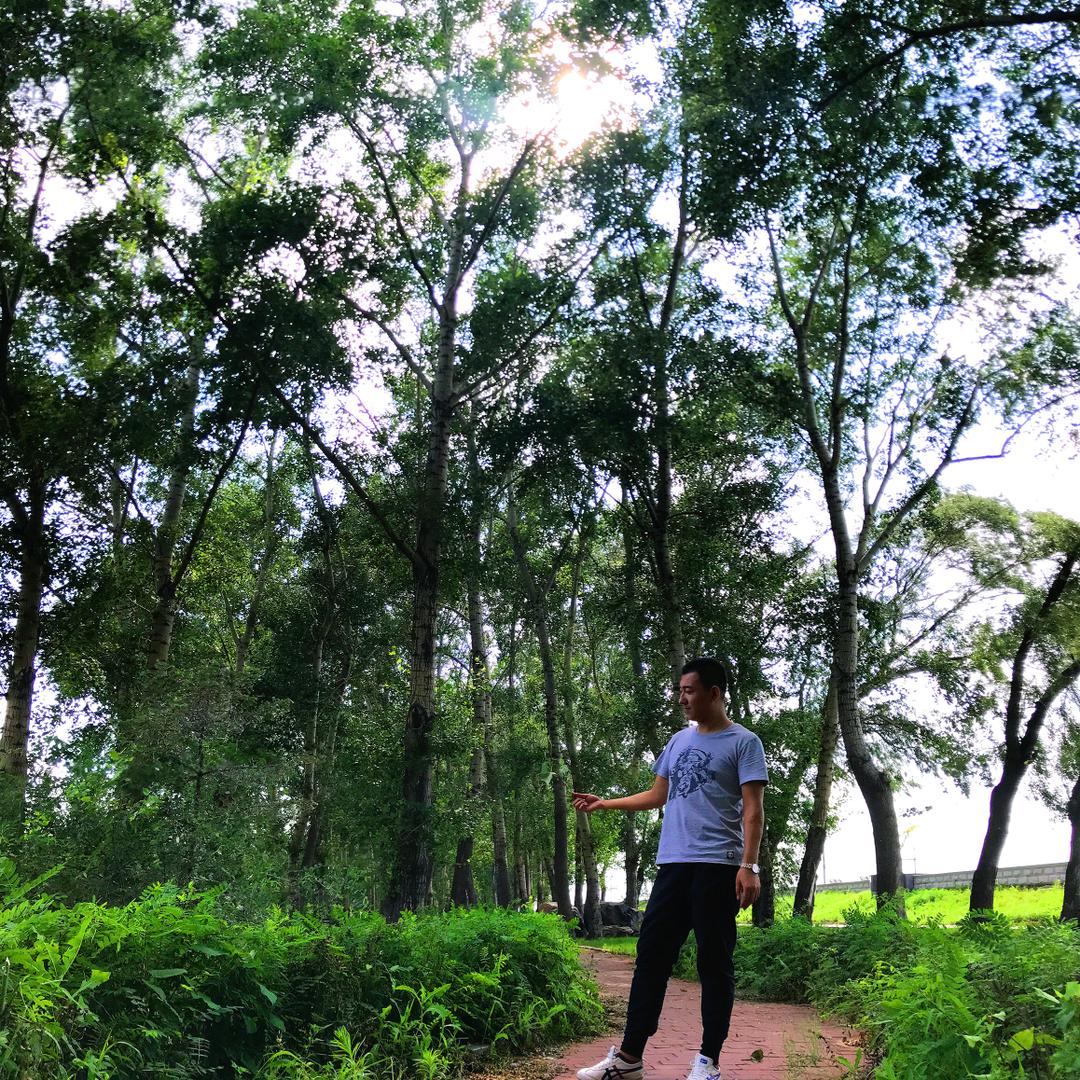 老夫有颗少女心