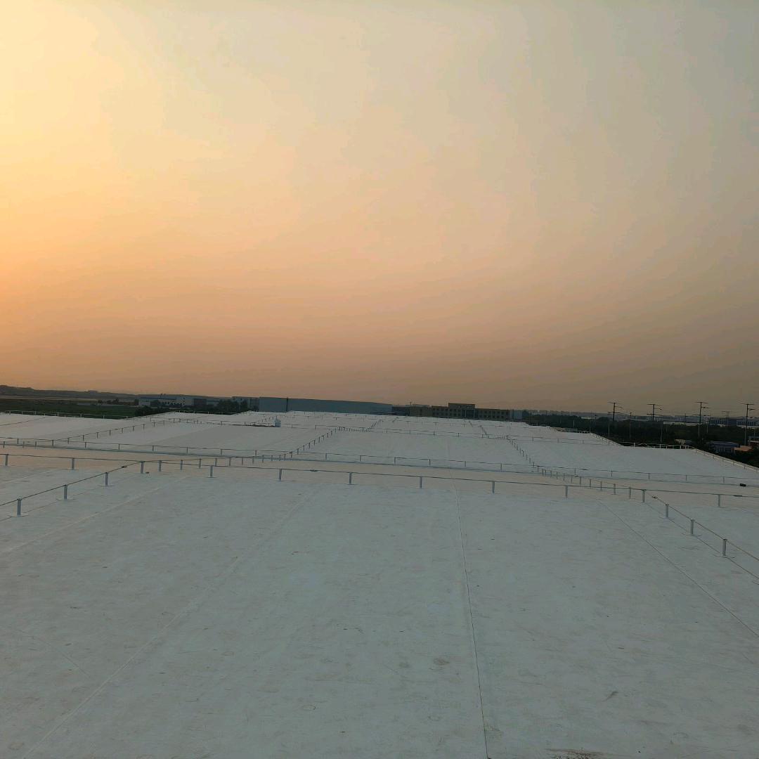 AAA🇨🇳汪诗亮