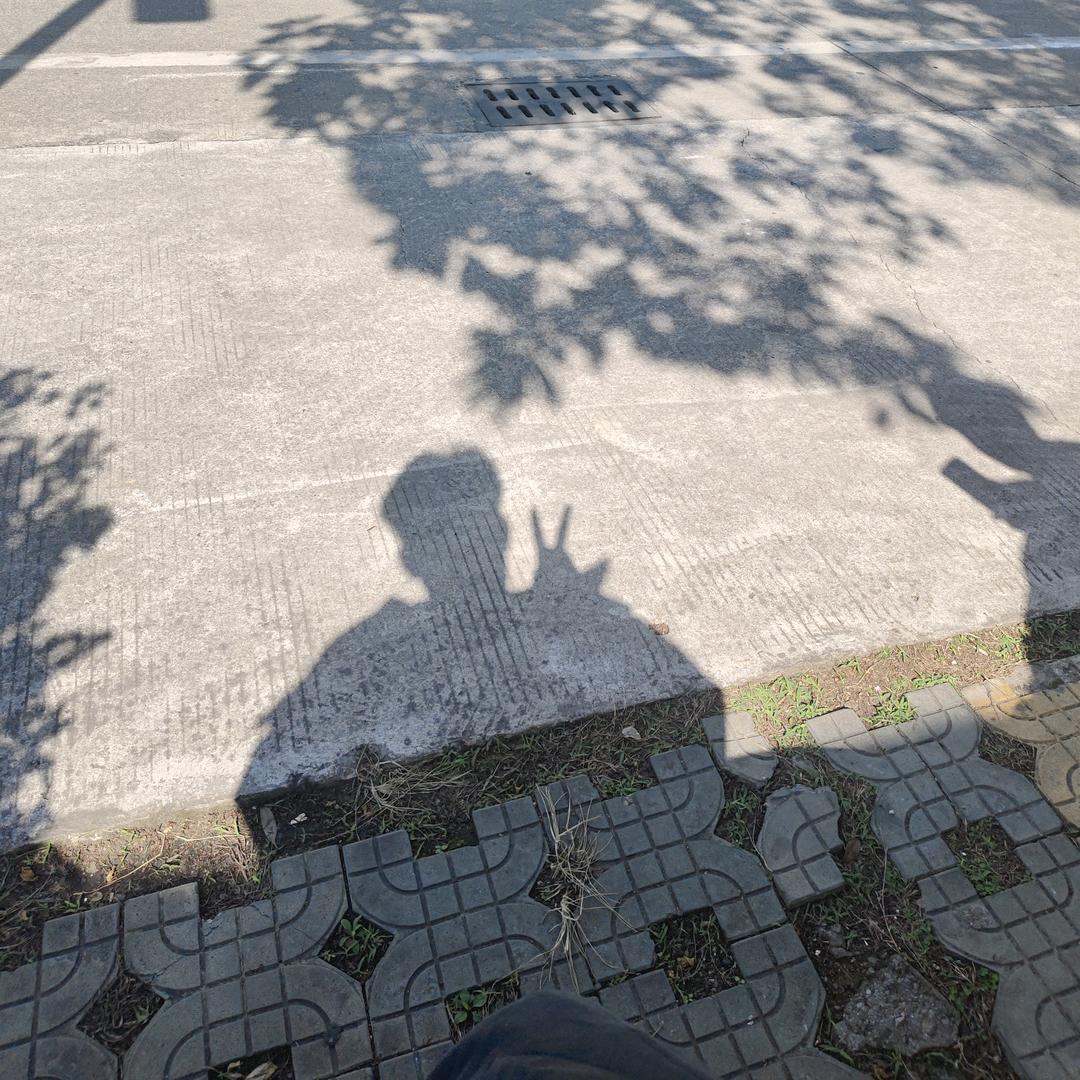 有风小馆