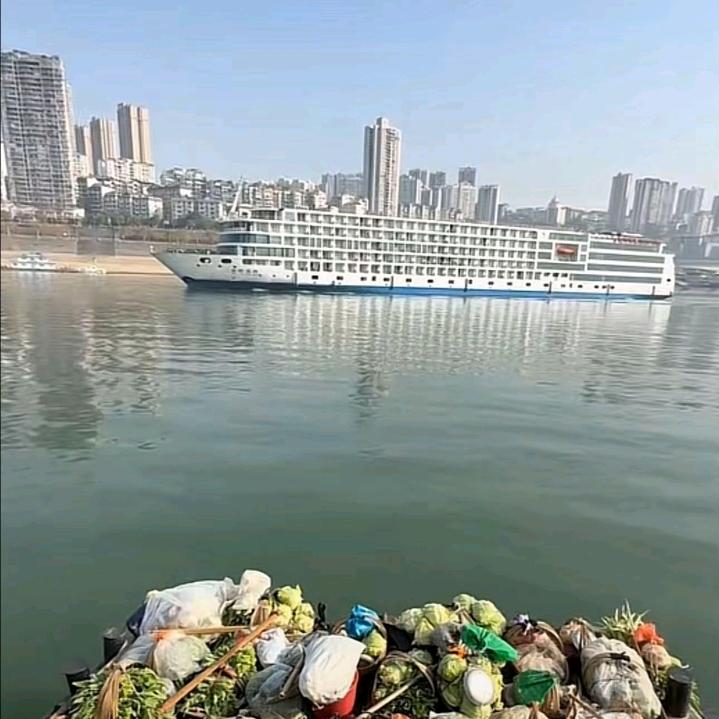 杨钉钉