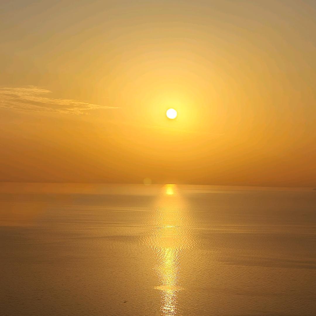 ⑦月7️⃣日🌸情