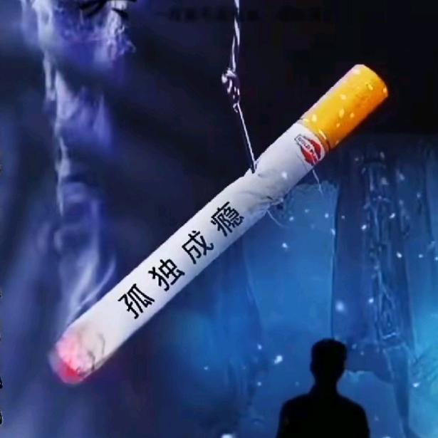 $孤秦成影$