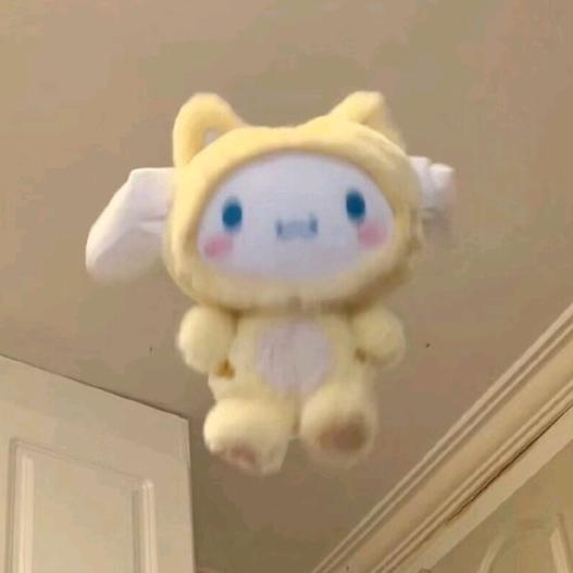 棉棉猫