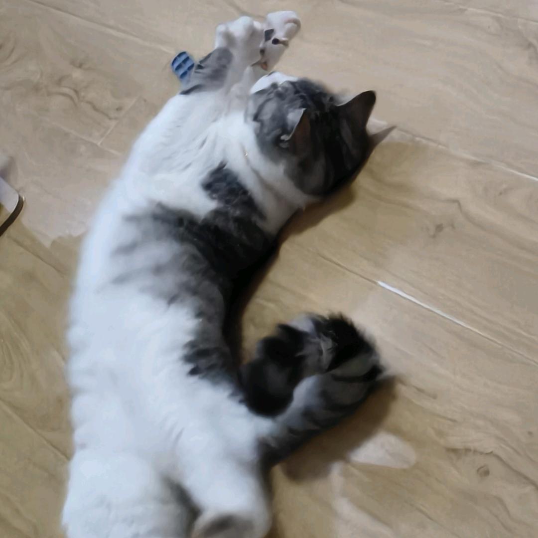 诺顿好香
