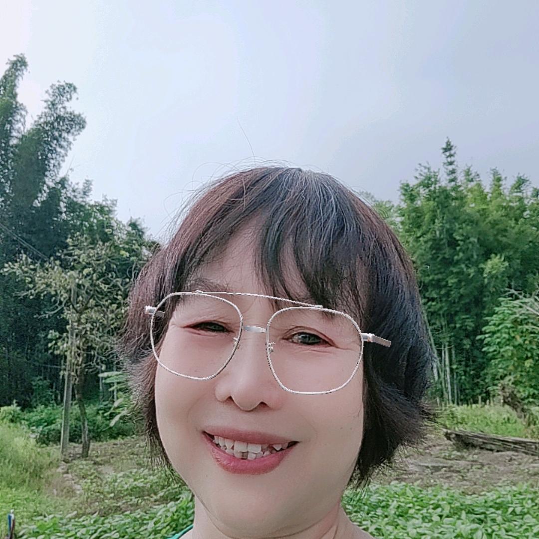 琴姨