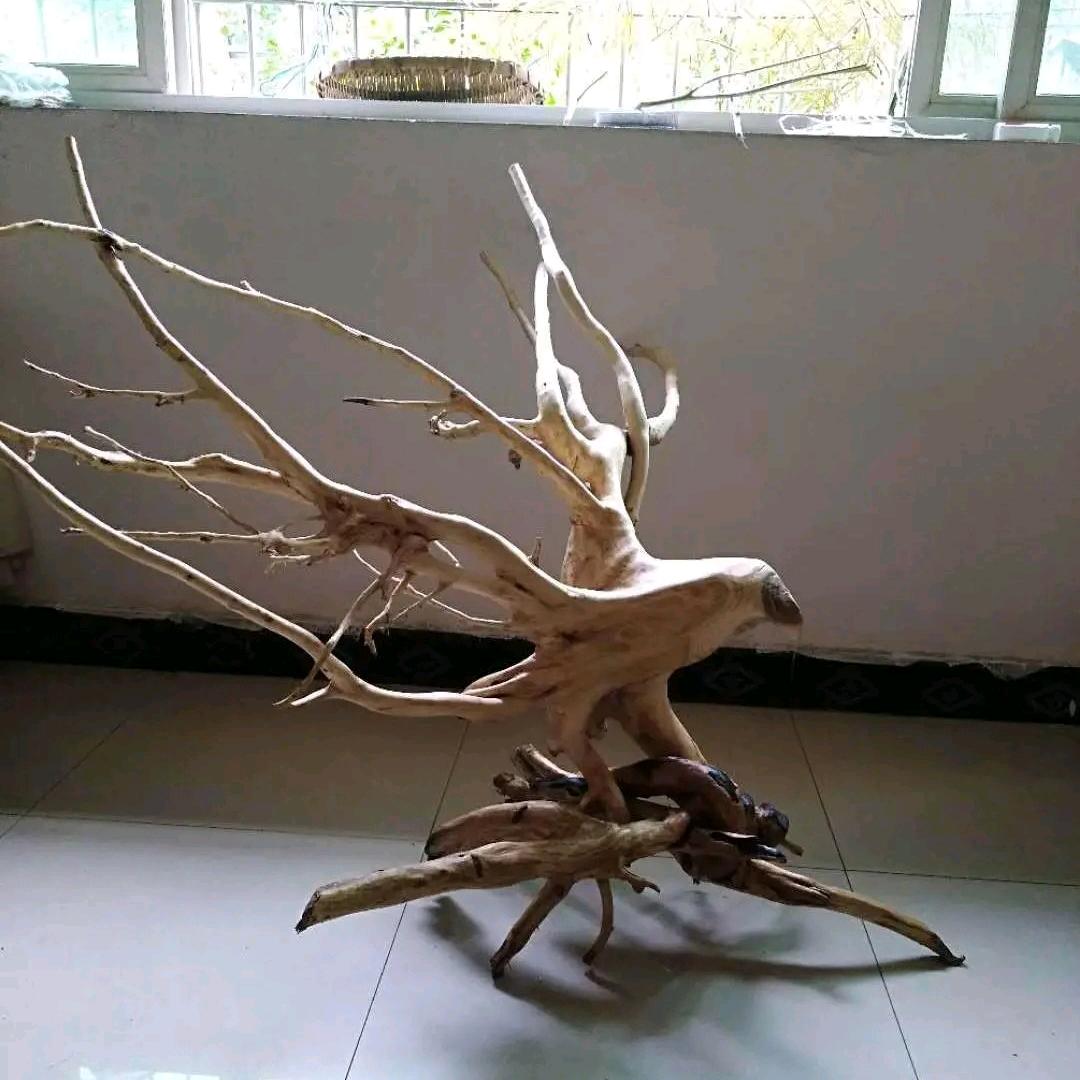 🐯🐉