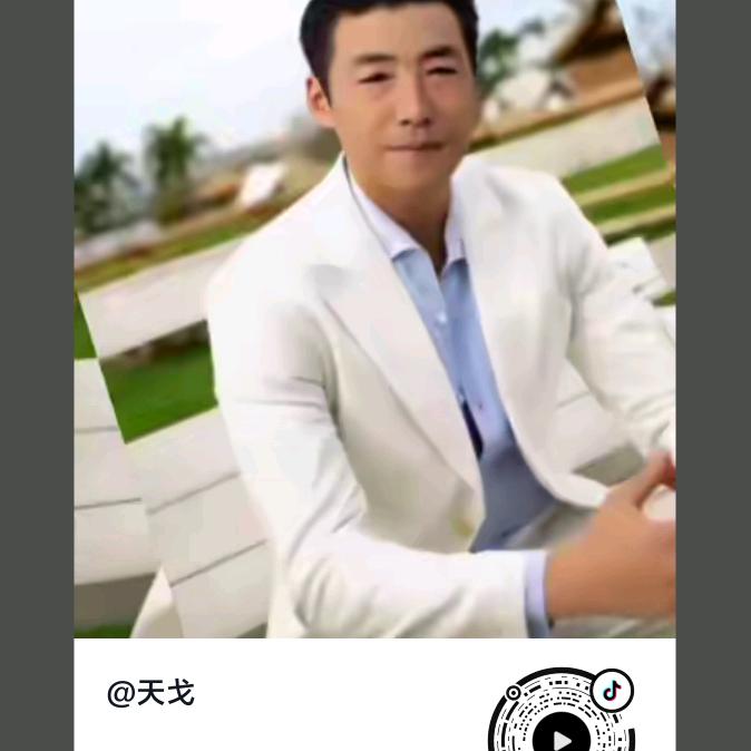 天戈