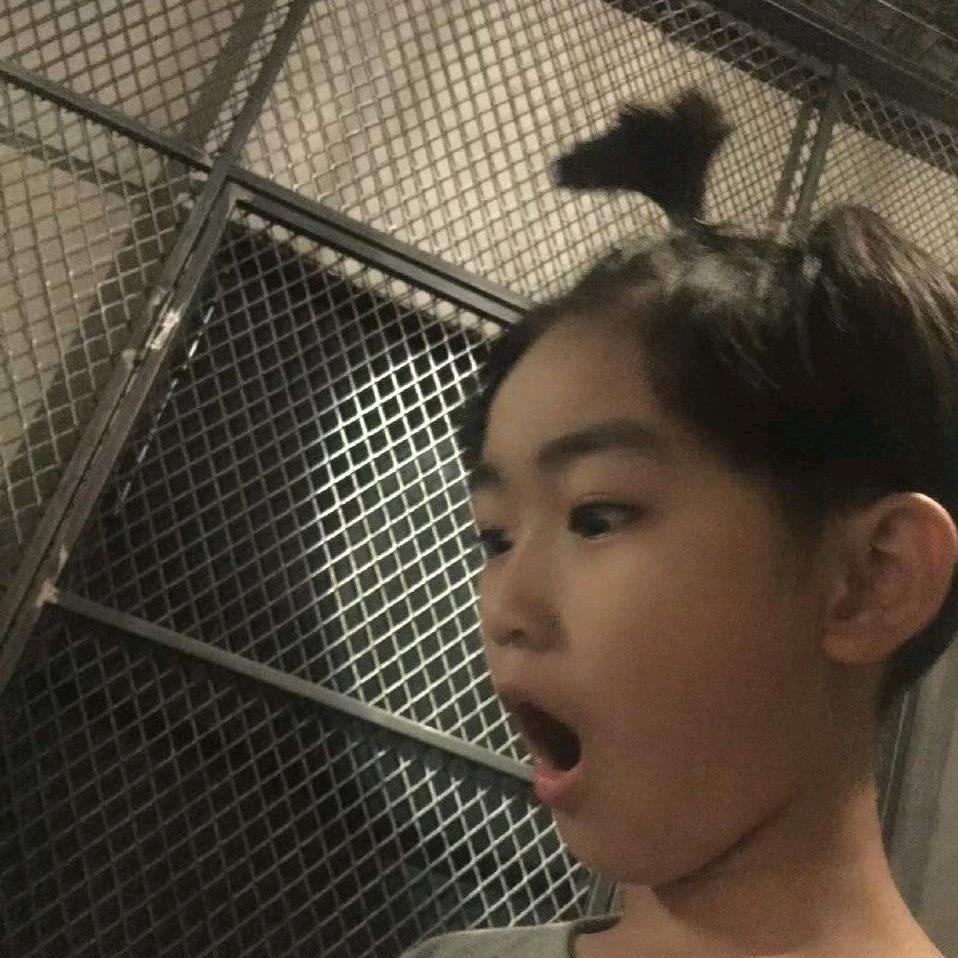 信咪🕊️