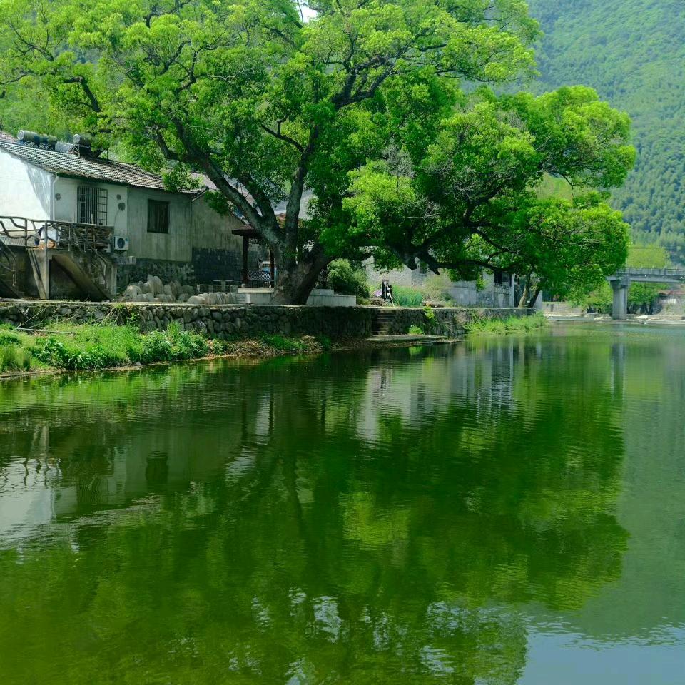 一举高中