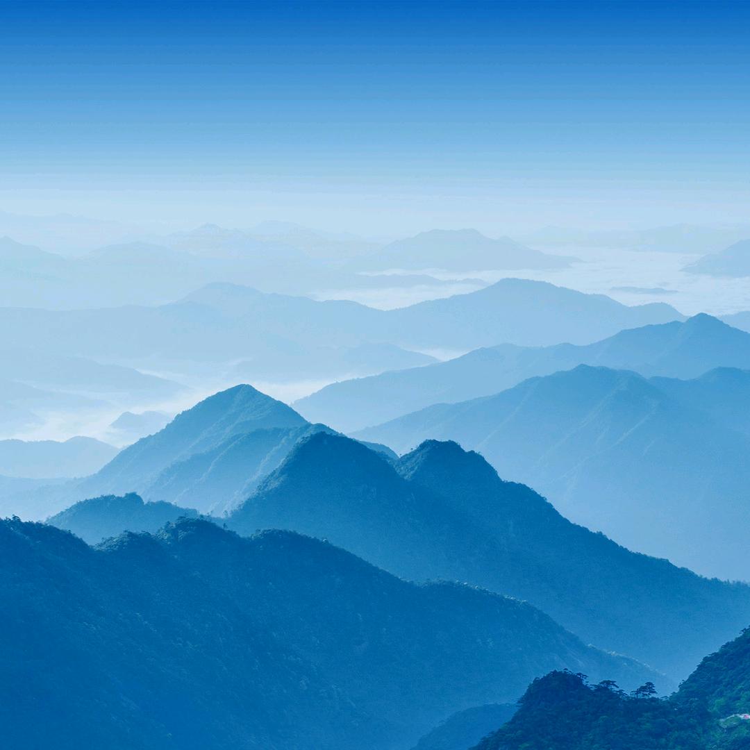 且停且忘且随风