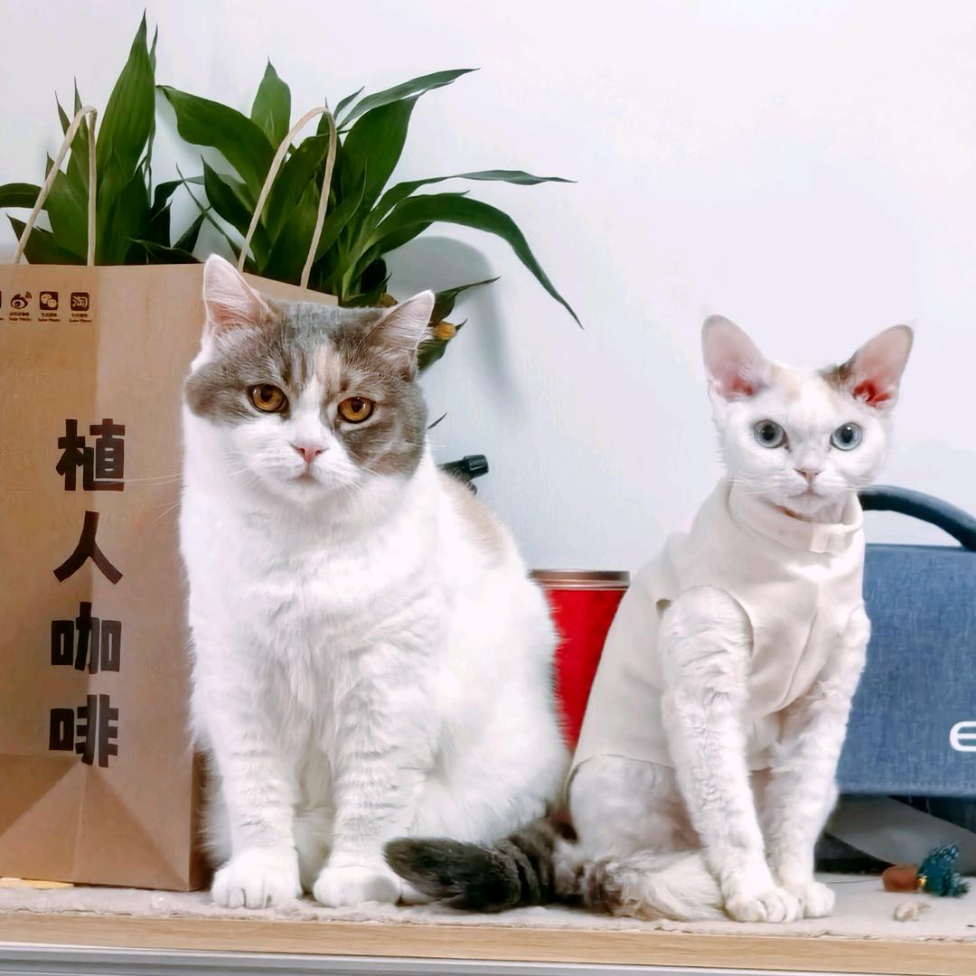 我心是海洋