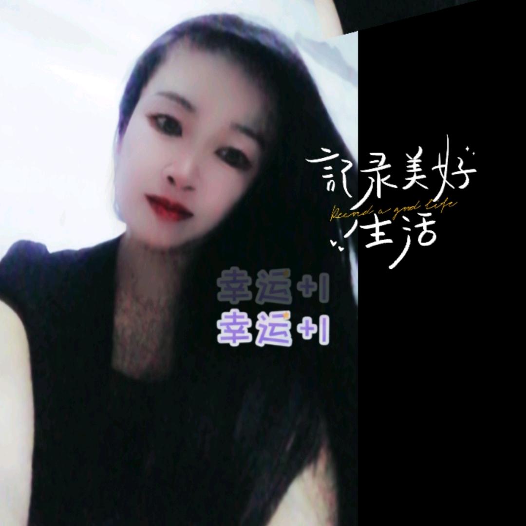 陈诗