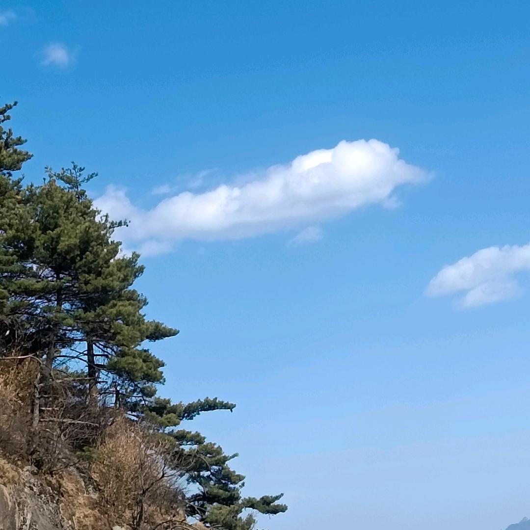@傲雪寒梅