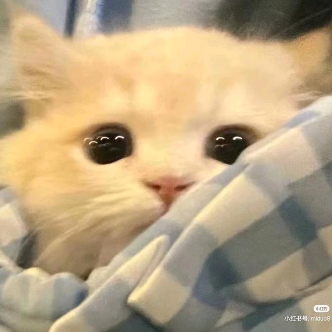 辞旧