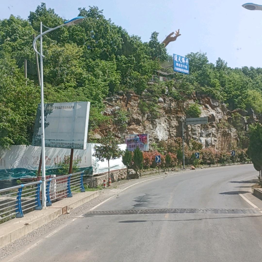 AAA专业挖树清地表团队