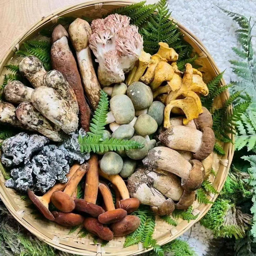 世庆堂吉安市聚联电子商务有限公司粮油专卖店