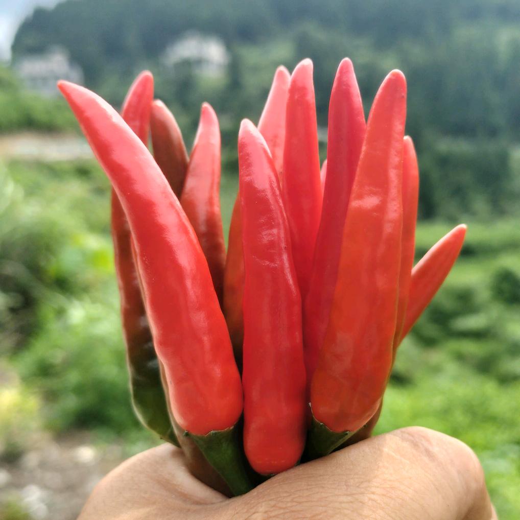 @小闫（承蒙厚爱）