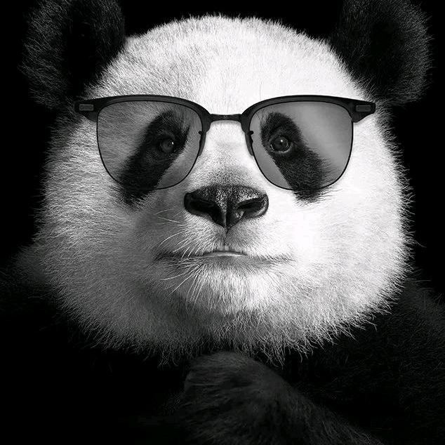 老李乐