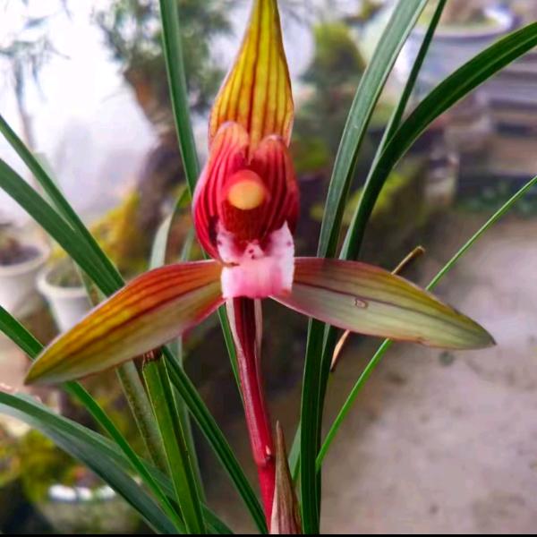 🥀এ᭄堼ꦿ💔孞ོ࿐ᩚ