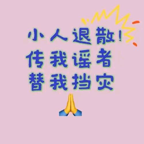 猫猫