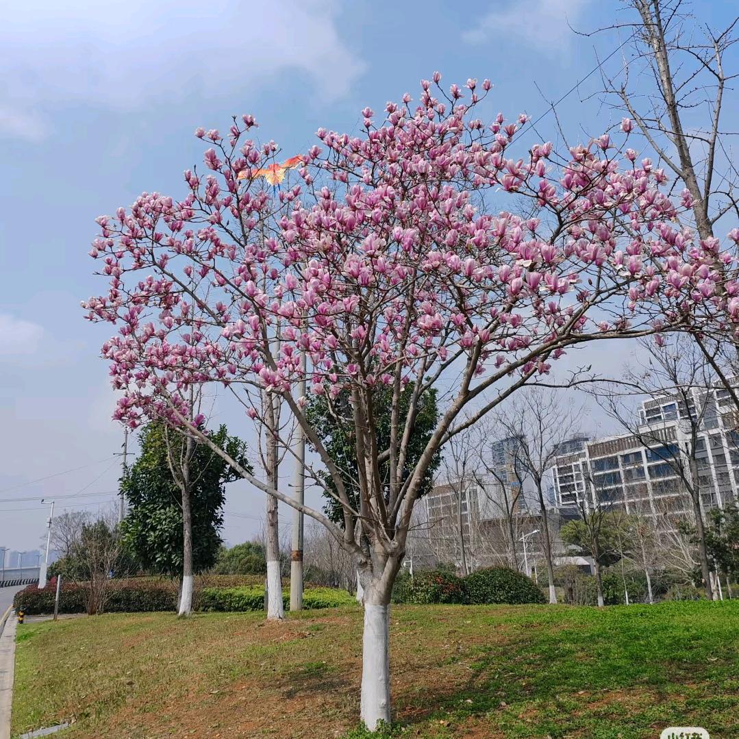 秋天🍃