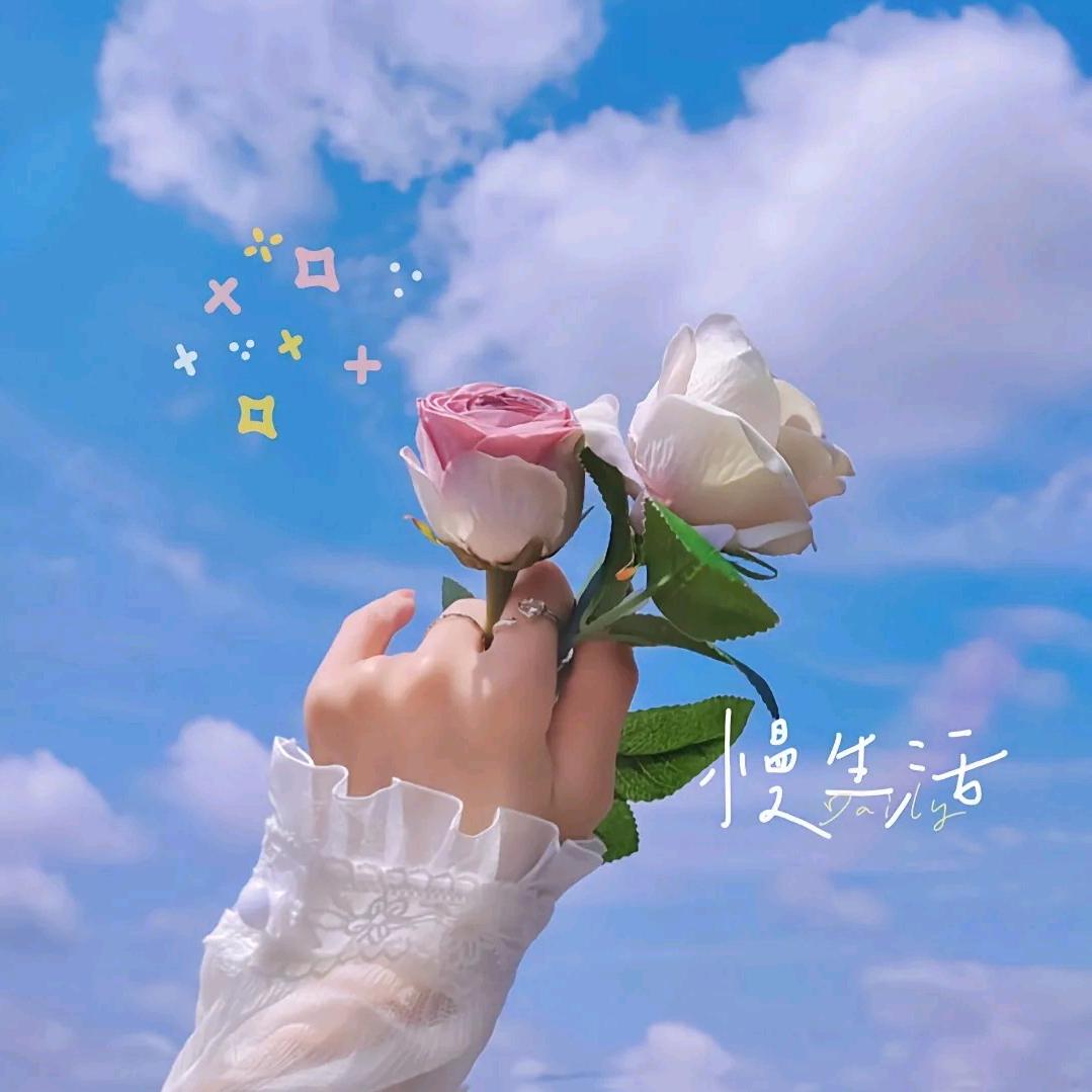浅蓝&来了