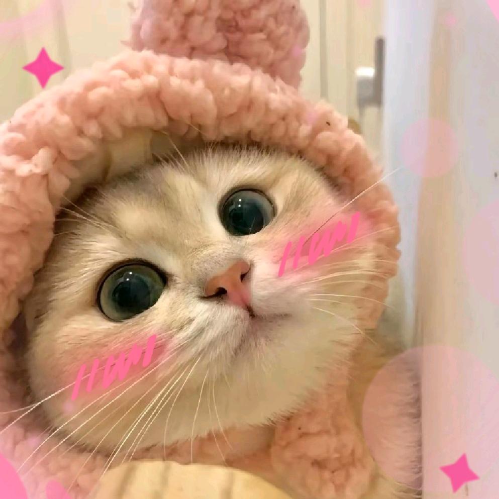 奔奔