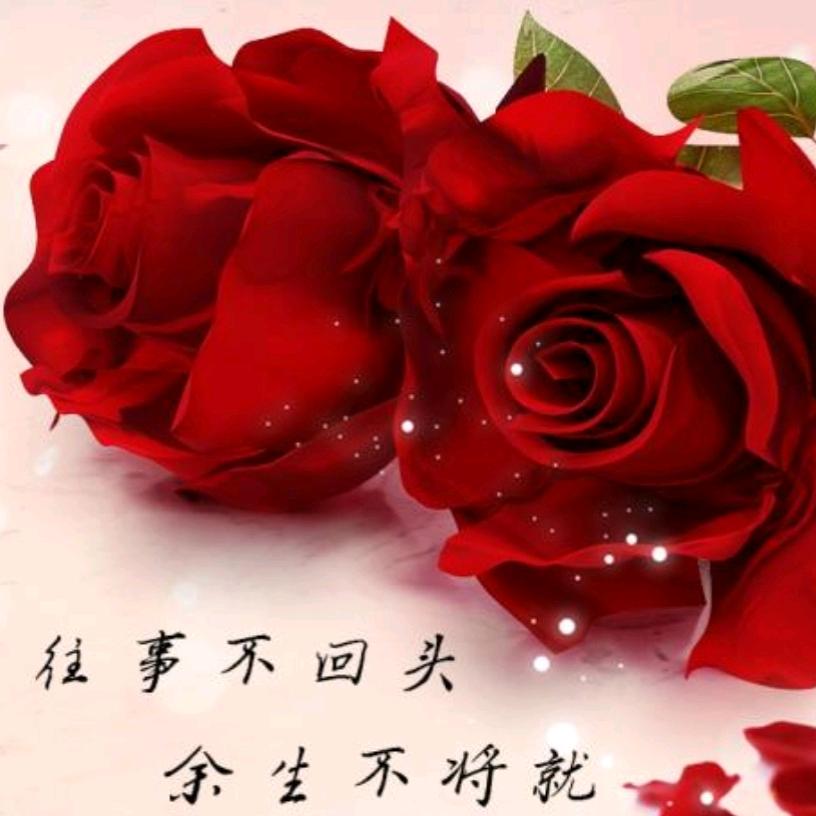 萍儿