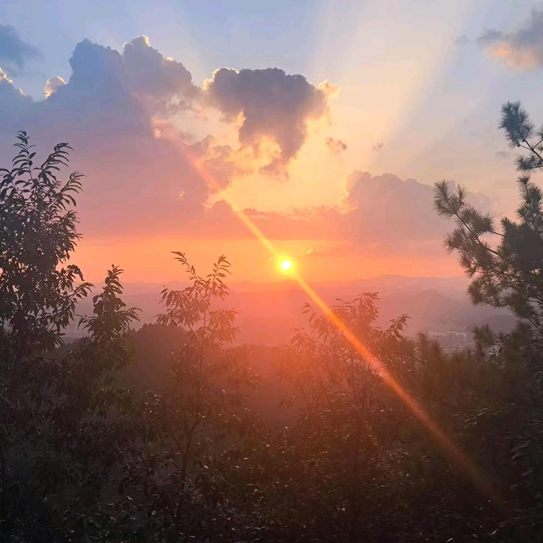 枕边谎言刺痛心