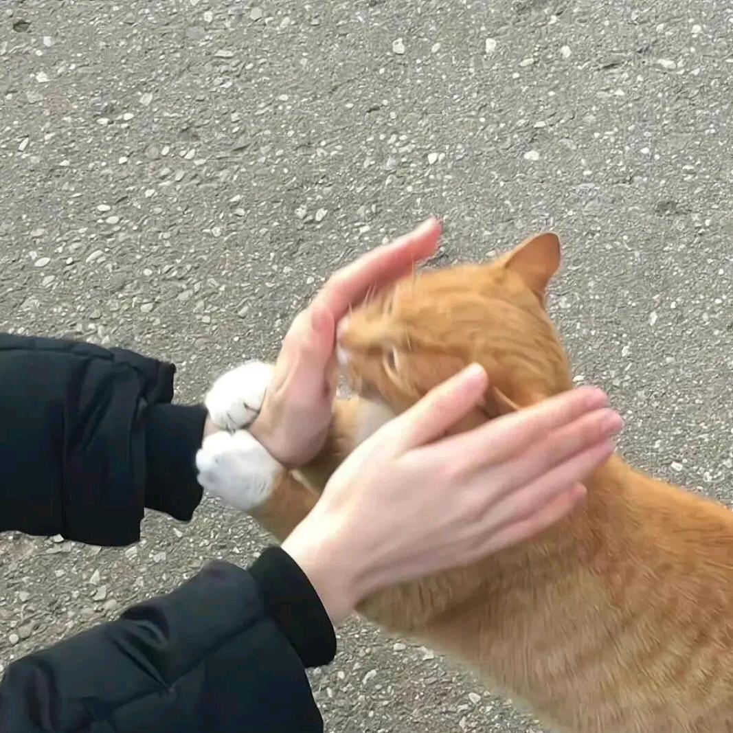 夕阳下