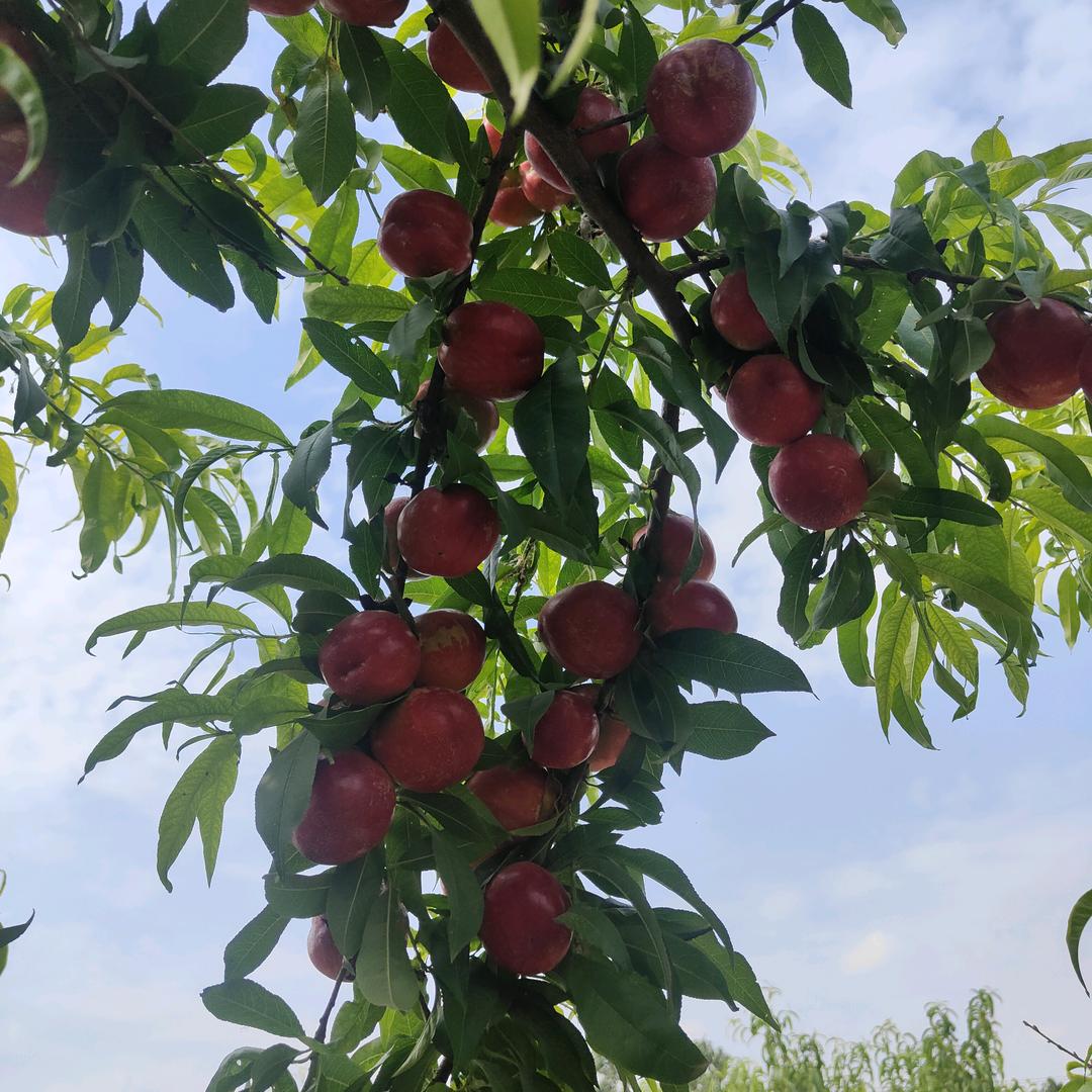 菏泽大自然木地板