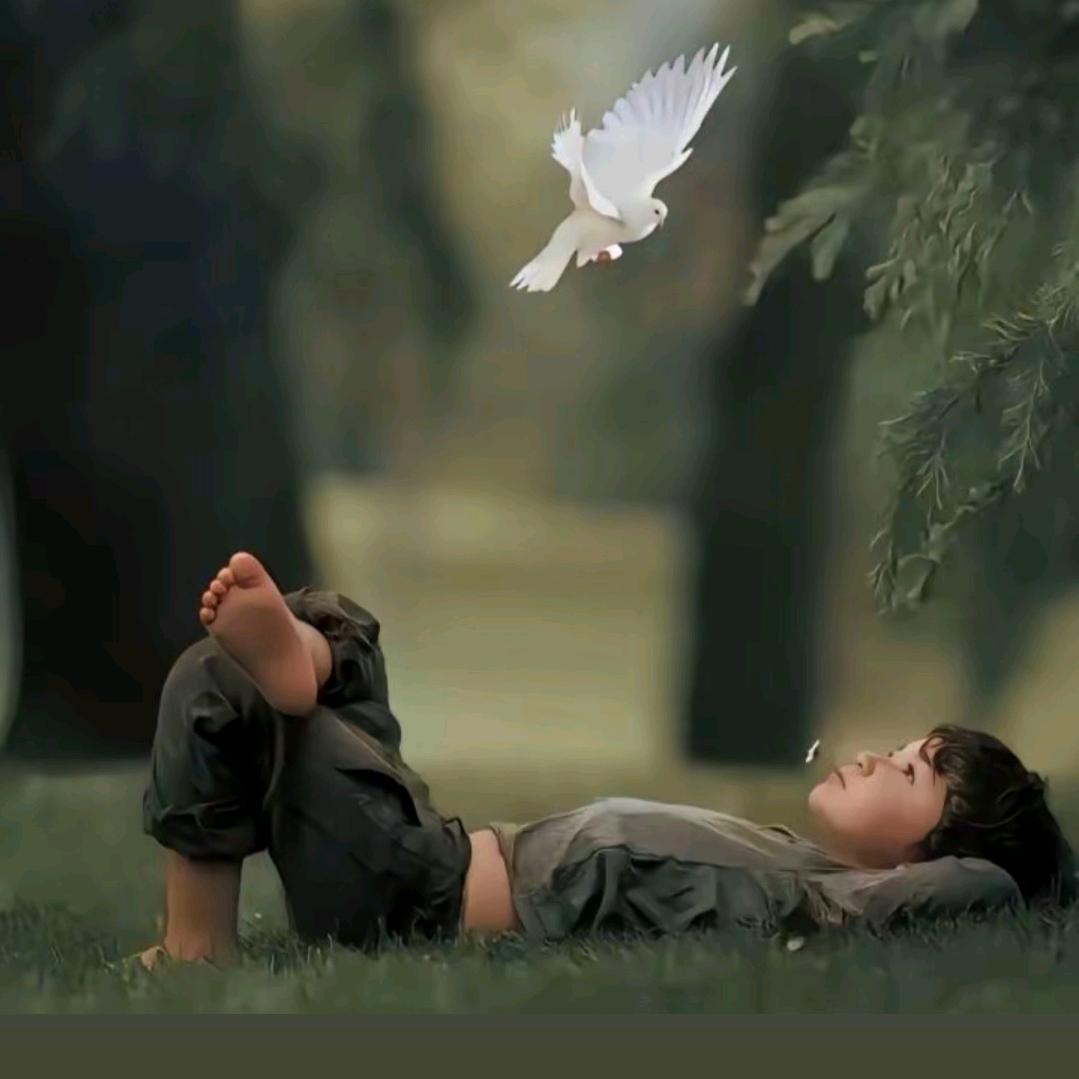 藏族尼玛顿珠