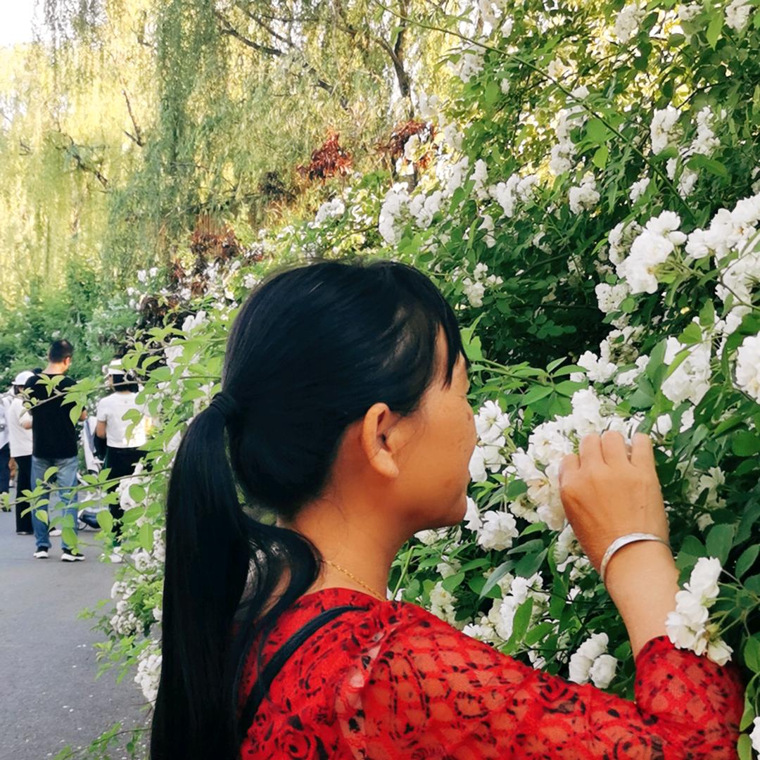 漫步人生🌹🌹🌹