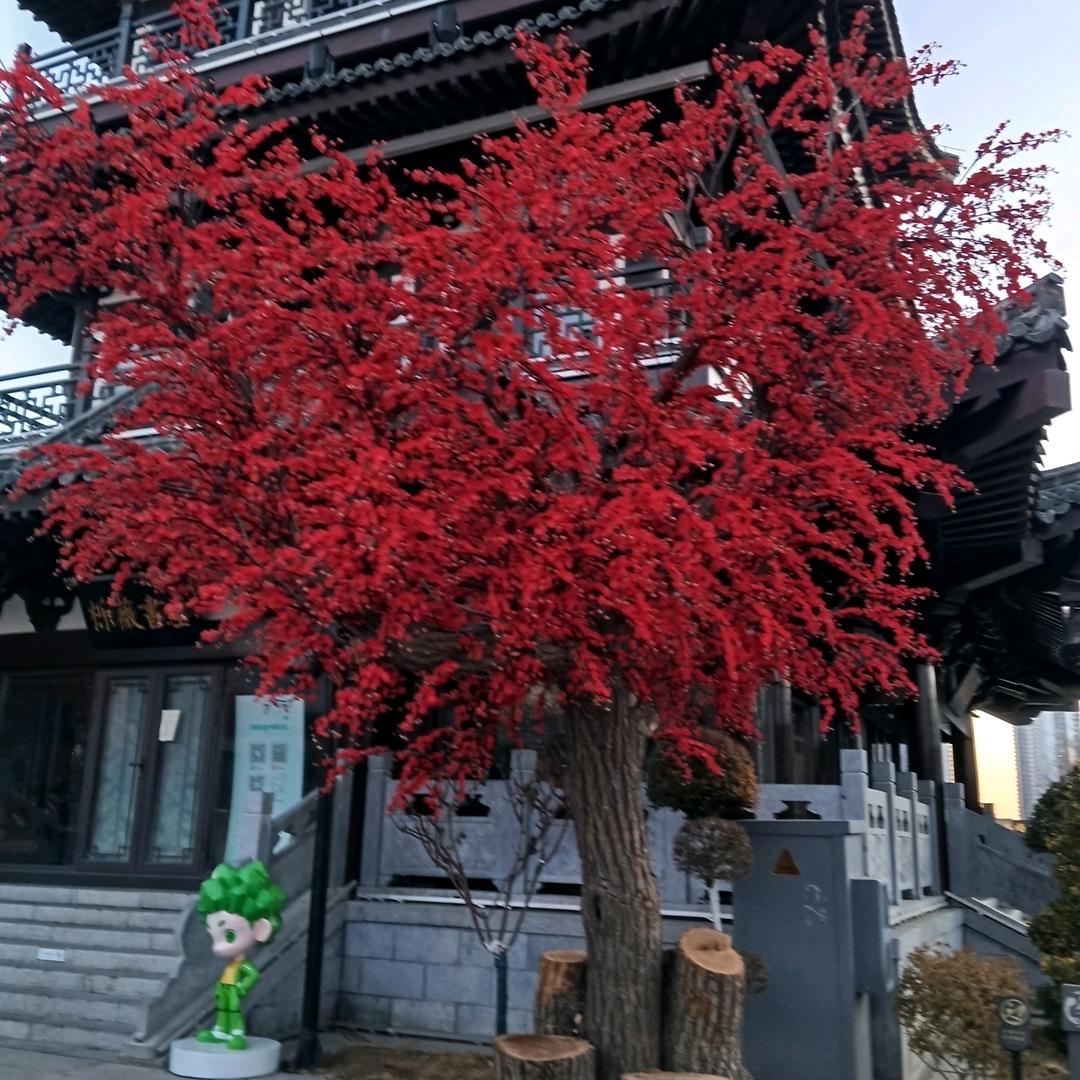 果琴
