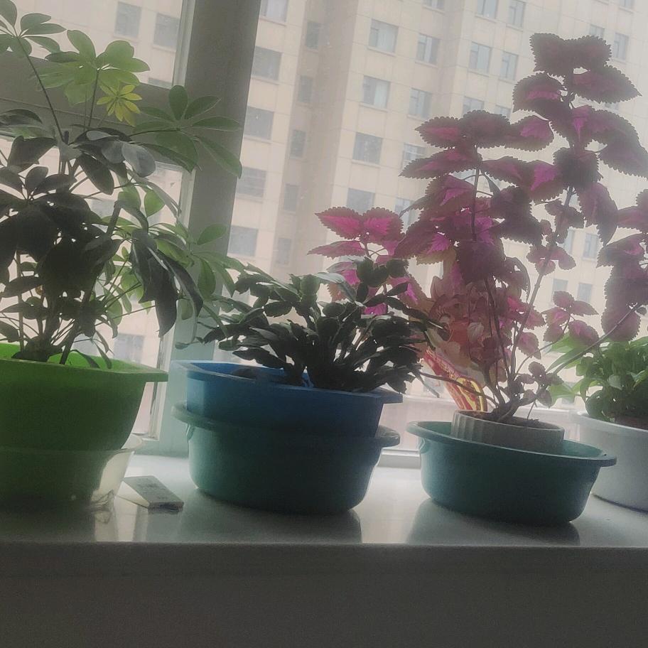 👉心李有你🧖‍♀️