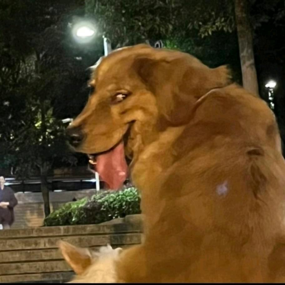 丶凡