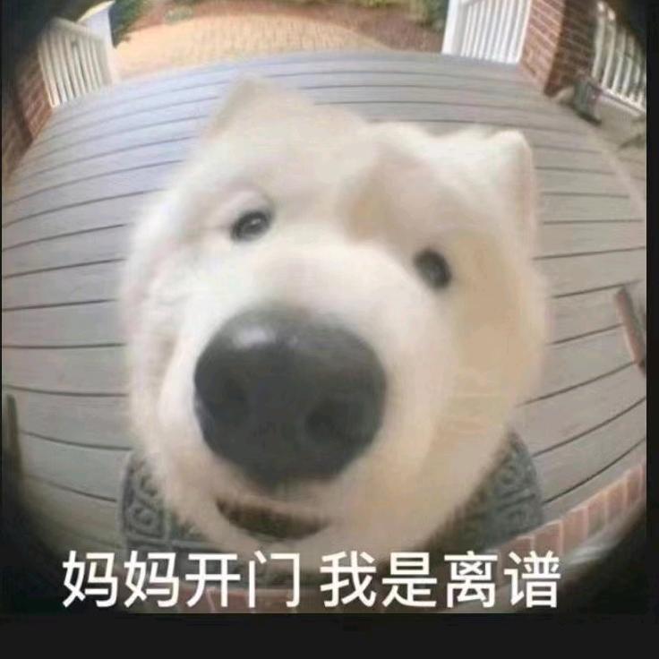 呵哥