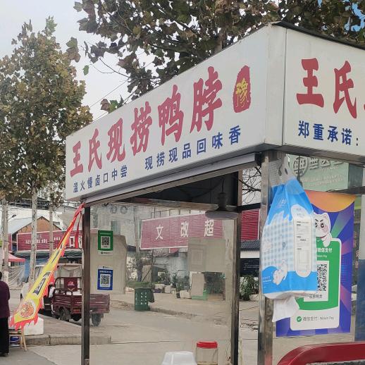 王氏现捞鸭脖（豫）