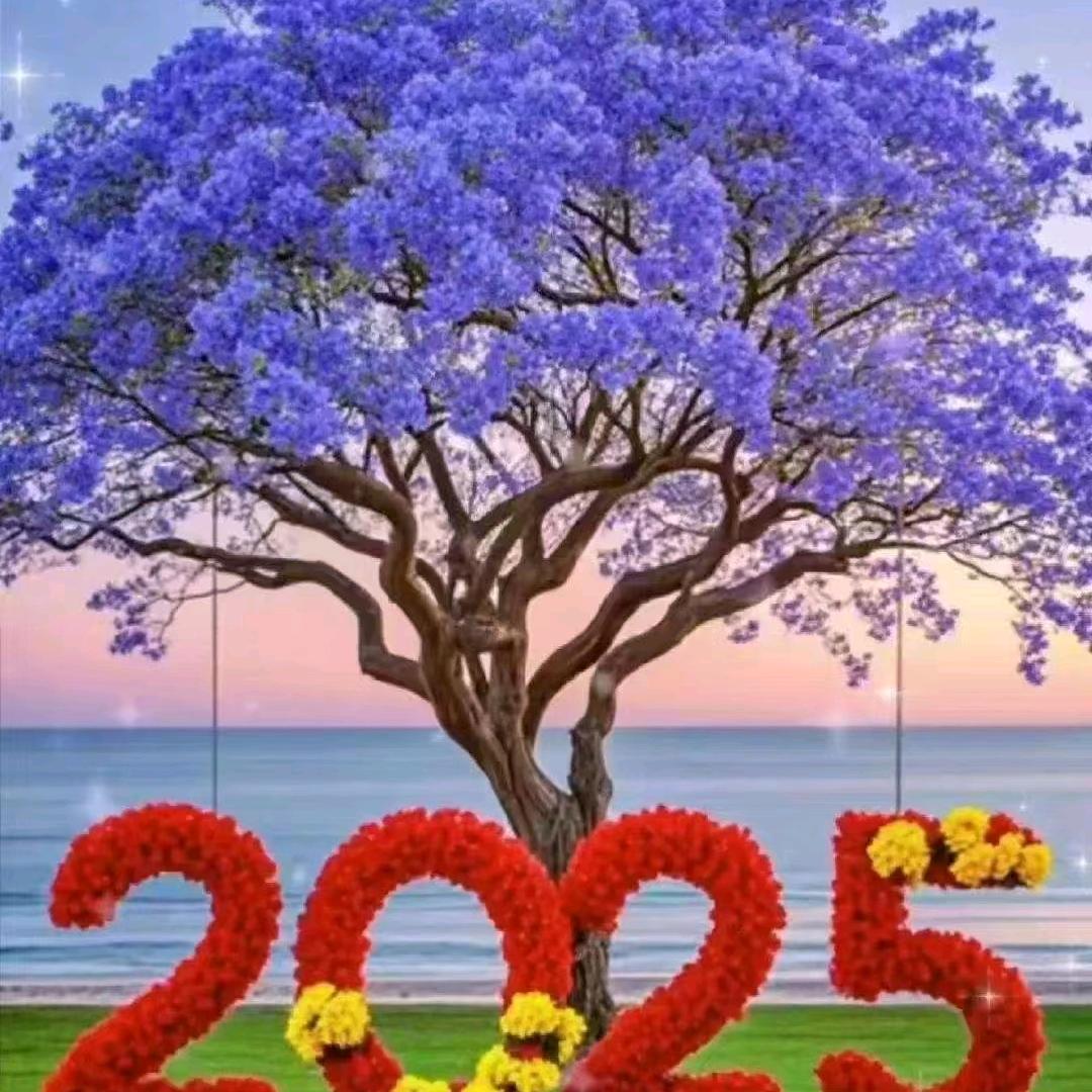 思念就是一辈子