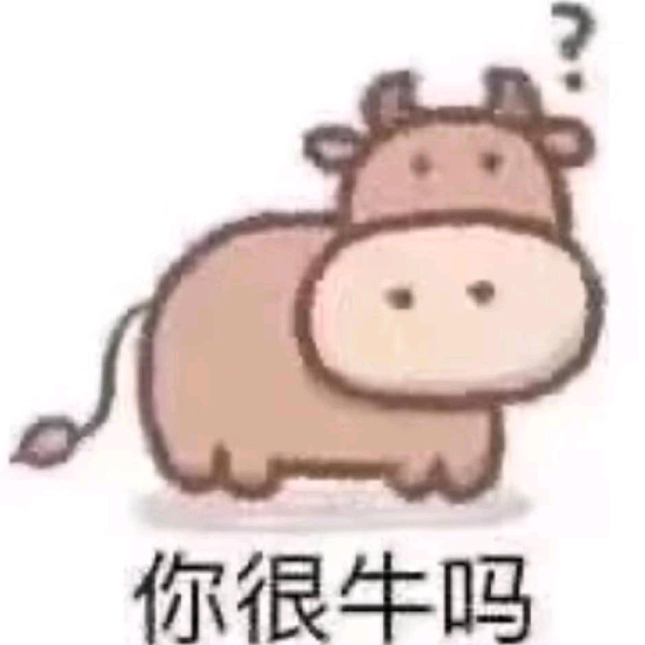 属猪