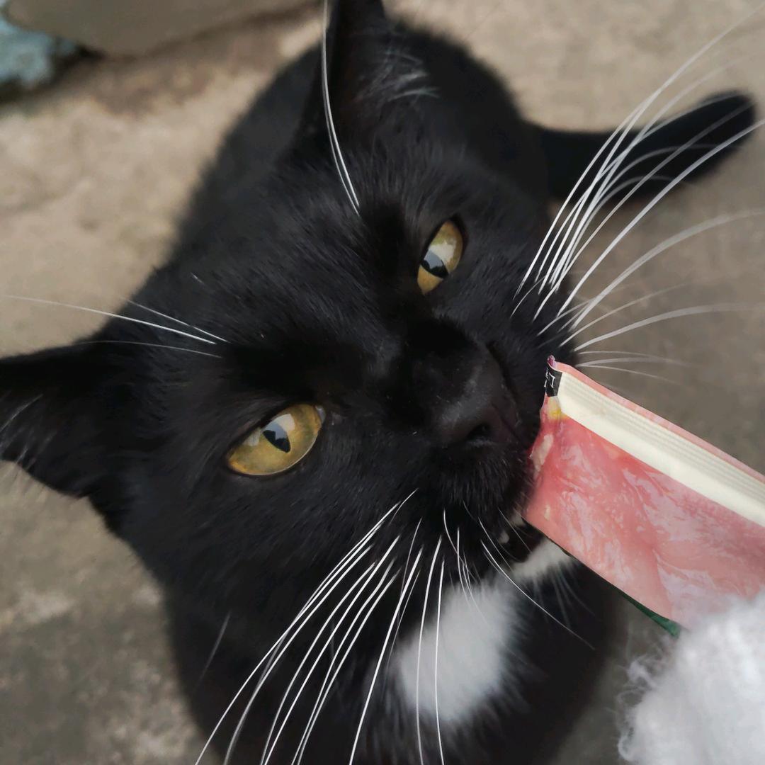 ☁️☁️☁️☁️